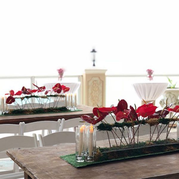 amoremio-eventos-2