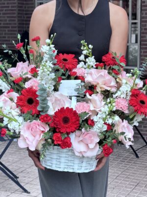 Antonia ( versión Small)