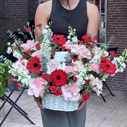 Antonia ( versión Small)