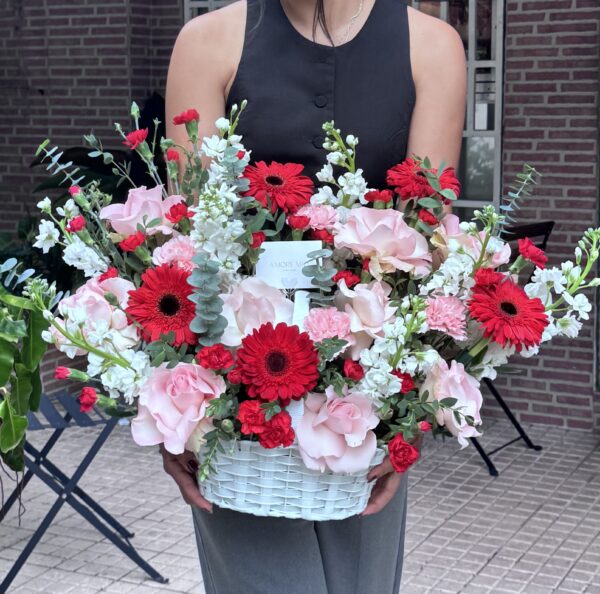 Antonia ( versión Small)